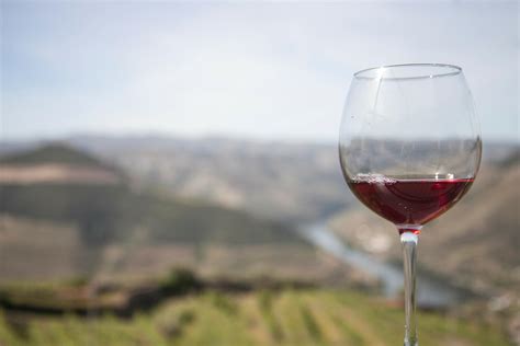 Douro Valley Private Tour Portugal By Wine Wine Tourism In Portugal