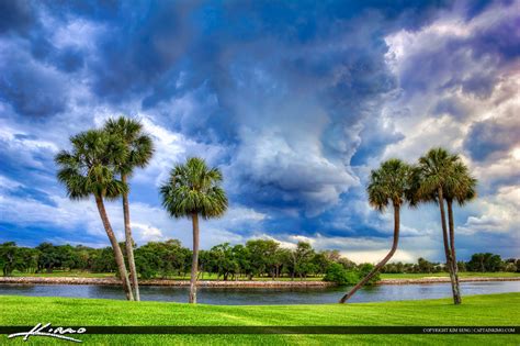 Storm Clouds Over Palm Trees In North Palm Beach Golf Course Royal