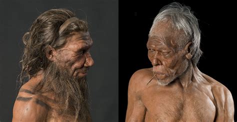 Are Neanderthals The Same Species As Us Natural History Museum