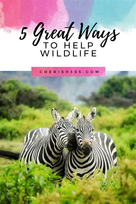 5 Great Ways To Help Wildlife Cherish365