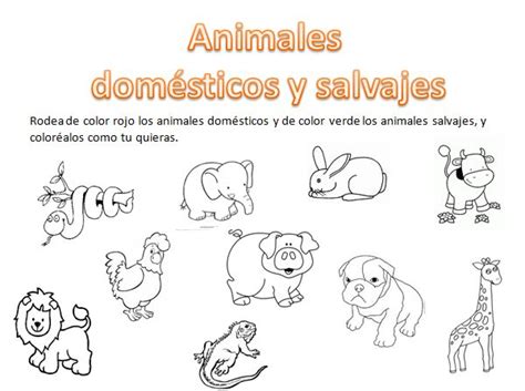 Animales Salvajes Y Domésticos Para Niños Animales Salvajes Para