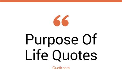 45 Unexpected Whats The Purpose Of Life Quotes Love Is Purpose Of