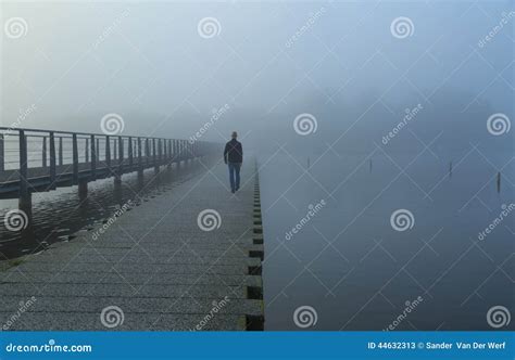 Foggy Walk Stock Image Image Of Freedom Landscape Fall 44632313