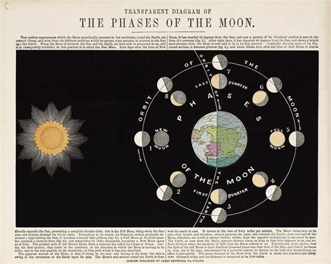 Transparent Diagram Of The Phases Of The Moon 1860 Moon Phases