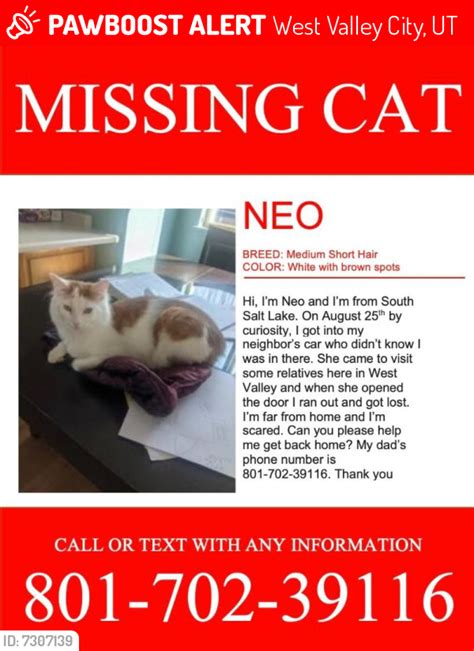 Lost Male Cat In West Valley City Ut 84120 Named Noe Id Free Download Nude Photo Gallery