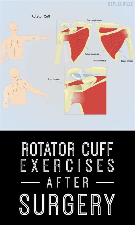 Womens Fitness Tips And Tricks Rotator Cuff Exercises Rotator Cuff