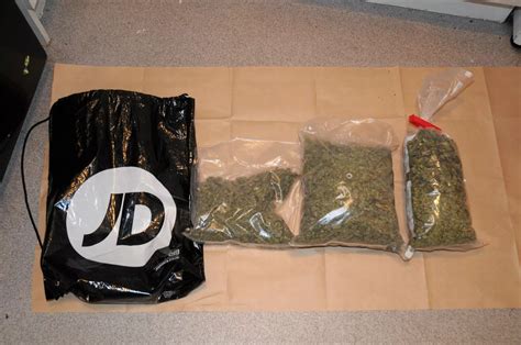 look the drugs and cash seized in operation measure raids north wales live