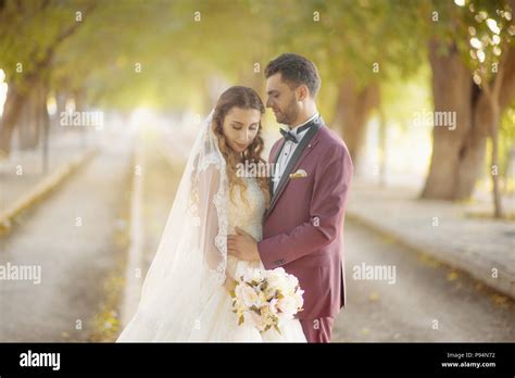 Wedding Bride And Groom Bridegroom Love Marriage Marrying Couple Stock