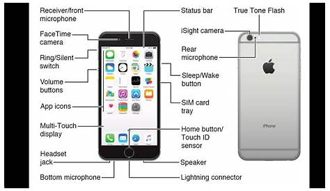 Iphone 7 Diagram : Iphone 7 Schematic Diagram / Iphone 7 Realistic 3d