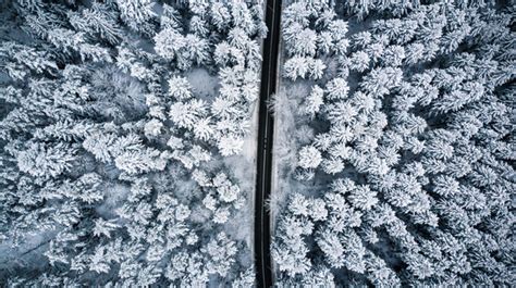 Snow Covered Trees And Road Line Aerial Drone Photo Stock Photo By Merc67