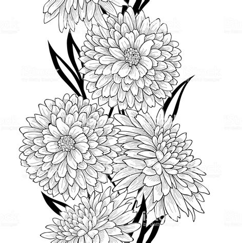 Floral Seamless Pattern Flower Chrysanthemums Line Art Background