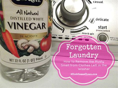 Be careful not to use this method with coloured clothes as the bleach will discolour your clothes. Forgotten Laundry (How to Remove the Stink from Clothes ...
