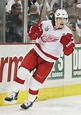 Jiri Hudler - Detroit Red Wings Wiki