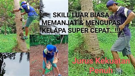 cara memanjat pohon kelapa