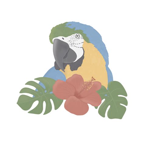 Download Bird Nature Parrot Royalty Free Stock Illustration Image Pixabay