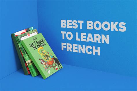 33 Best French Books for Beginner, Intermediate and Advanced Bookworms ...