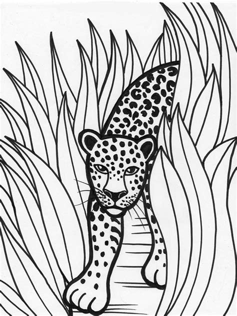 Leopard Rainforest Predator Coloring Page Download And Print Online
