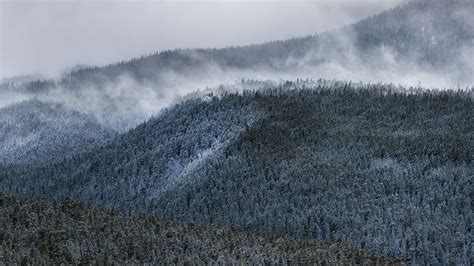 Foggy Forest Mountain Wallpaper Hd Nature 4k Wallpapers Images