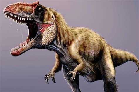New Dinosaur Siats Meekerorum Larger Than T Rex Discovered In North