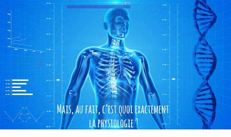 Anatomie Physiologie Archives Laventure Yoga Du 33
