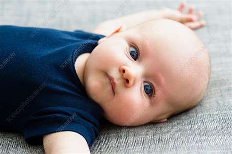 Portrait Of Baby Boy Lying On Back Stock Image F0079785 Science