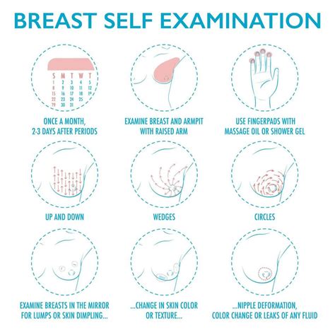 Breast Self Exam Instruction Breast Cancer Monthly Examination 3435695