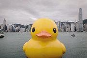 違法侵權：巨鴨招財 山寨同族爭 食 - 香港文匯報