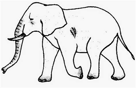 Gambar Dunia Sekolah Gambar Hitam Putih Drawing Binatang Lukisan Gajah