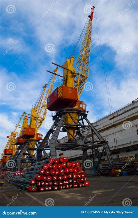 Grandes Guindastes Do Porto Imagem De Stock Imagem De Porta Guindastes 19882455