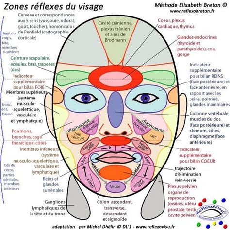 Réflexologie Crânienne Et Faciale Tout Savoir Sur La Réflexologie Crânienne Et Faciale Elle