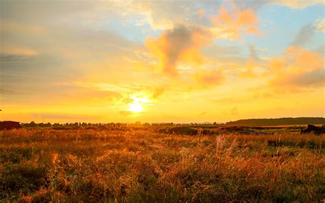 Wallpaper Sunset Yellow Sky Clouds Grass 2880x1800 Hd Picture Image