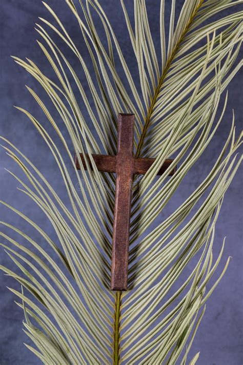 Catholic Cross With Palm Leaf Ash Wednesday Lent Season Holy Week