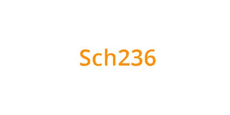 logo sch 236 geel - De Noordster