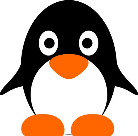 Linux Logo Png Transparent Image Download Size 999x988px