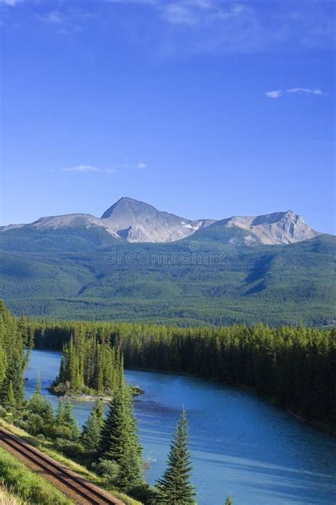 Bow River View Stock Photo Image Of Travel Landscape 1039364