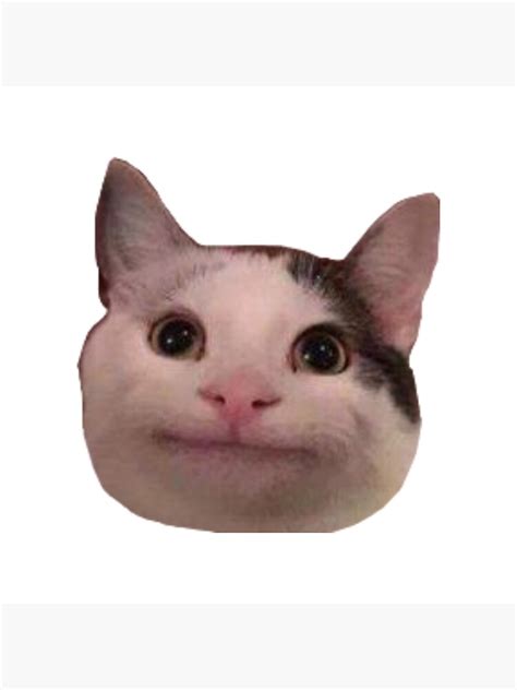 Polite Cat Meme Sticker For Sale By Tessas Tees Redbubble