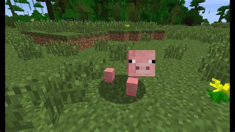 Minecraft Yogbox Funny Pig Glitch Youtube