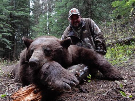 Idaho Bear Hunting