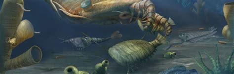 Hall Of Life—origins Of Life Exhibits The Cambrian Explosion Kids