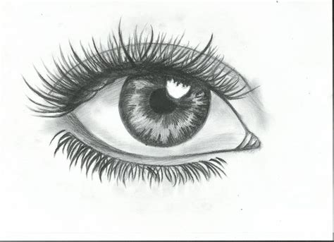 Add eyelashes and lower eyelids. sketches of eyes easy to draw - Google Search | Drawing ...