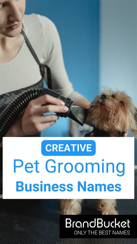 Pet Business Names Artofit