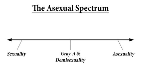 what is asexuality the asexual spectrum autumn asphodel