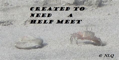 Created To Need A Help Meet Part 1 Mr Steady Michael