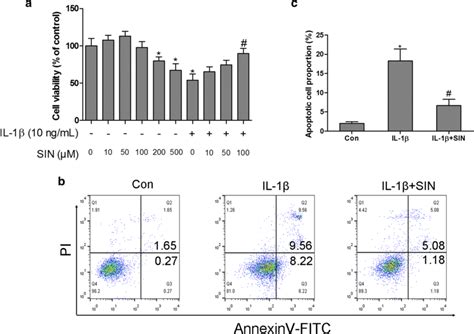 sin inhibits il 1β induced apoptosis in chondrocytes chondrocyte download scientific diagram