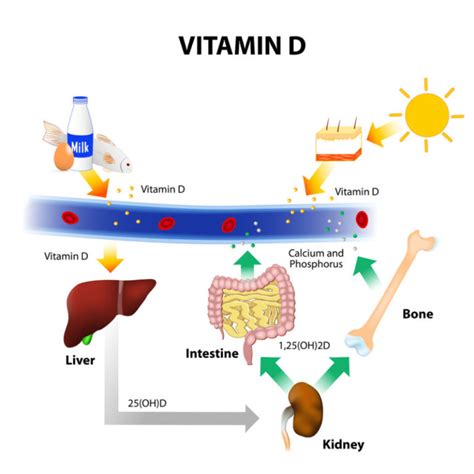 Common Signs Of Vitamin D Deficiency You Shouldnt Ignore David