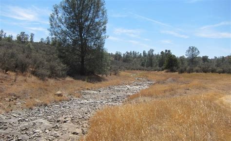 Californias Drought Pushes Tiny Fish Toward Extinction Kpbs Public Media