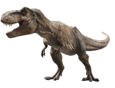 Tyrannosaurus Rex Isla Nublarfilm Jurassic Park Wiki Fandom