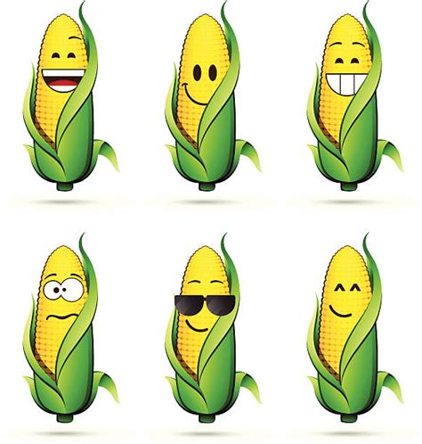 From new pipes to gift sets, and starter kits, we have it all. Royalty Free Corn On The Cob Clip Art, Vector Images ...