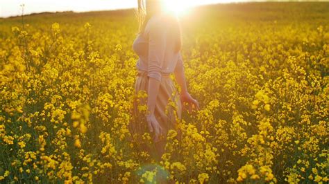 Beautiful Girl Walks On Field Of Flowers At Sunset Stock Video Footage Storyblocks