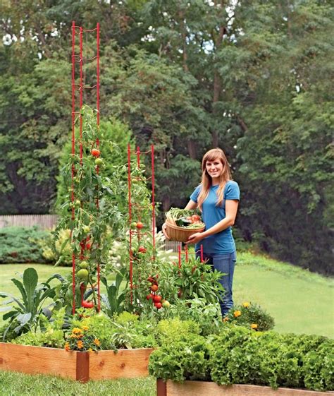 Stacking Tomato Ladders Set Of Six Our Stackable Ladders Are A